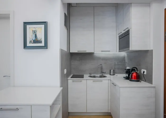 アパート Luxurious 2 Bd Flat Near Ndk ソフィア